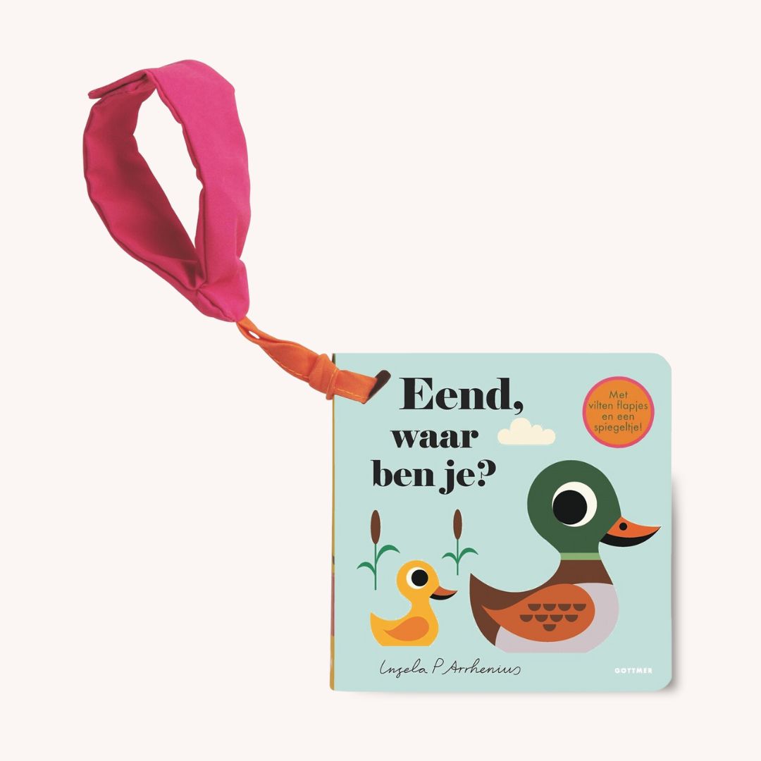 Kneusje Buggyboekje Eend waar ben je?