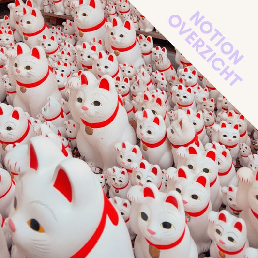 Notion Overzicht: Onze reis naar Japan 🇯🇵