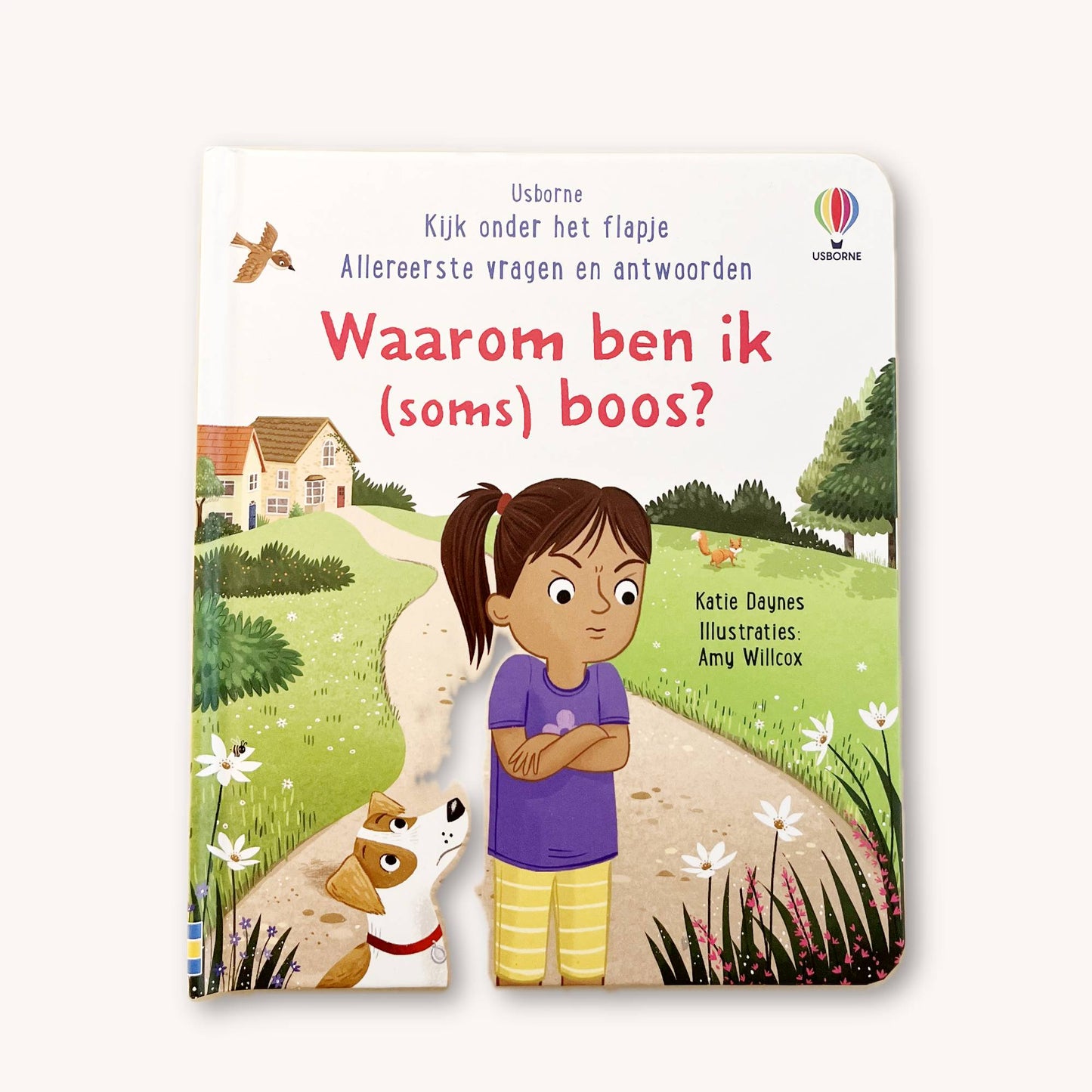 Waarom ben ik (soms) boos?